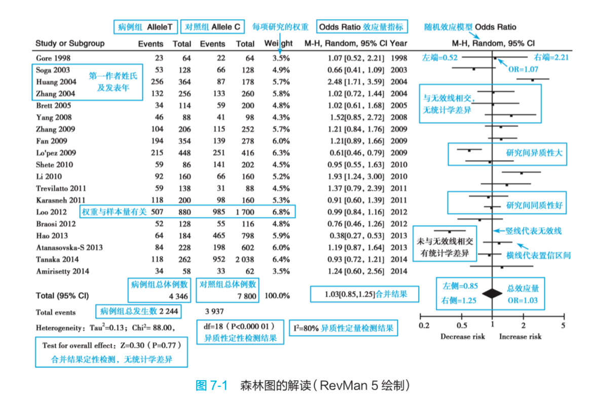 Forest Plot